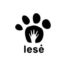 Viešoji įstaiga "Socialinis veiksmas"