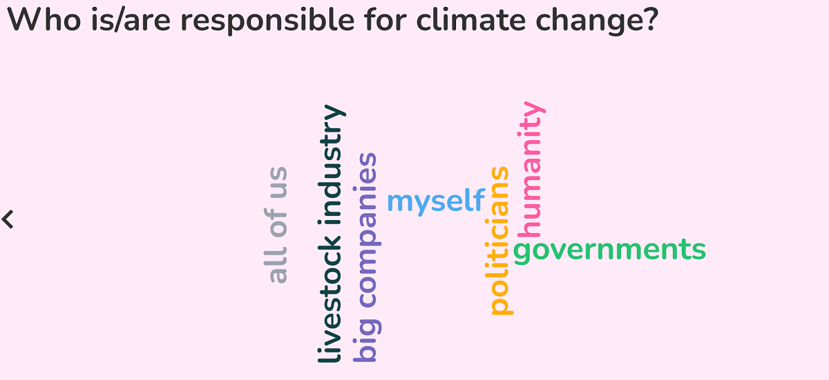 Results of the live poll during the workshop on the question who is responsible for climate change